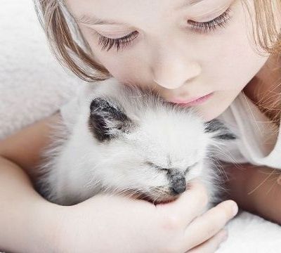 Πώς θα απασχολήσει το παιδί σας τη γάτα του δημιουργικά!