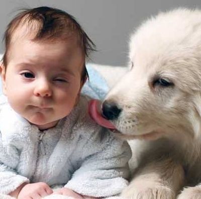 «Υιοθετήσαμε κατοικίδιο αλλά το παιδί μας είναι αλλεργικό…Τι κάνουμε;»