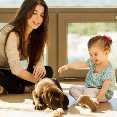 Tips για να μην δαγκώνει ο σκύλος