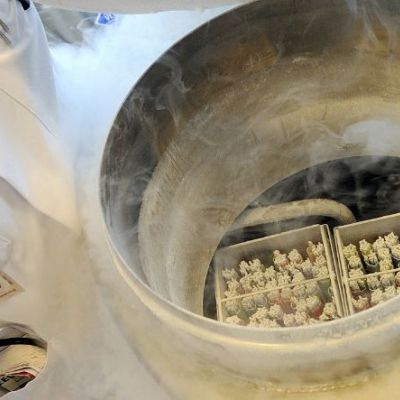 Κατάψυξη ωαρίων: μια «ευκαιρία» που απαιτεί πλήρη και εξατομικευμένη ενημέρωση