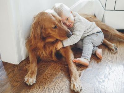 Αν το παιδί έχει άσθμα μπορούμε να κρατήσουμε το κατοικίδιο μας;