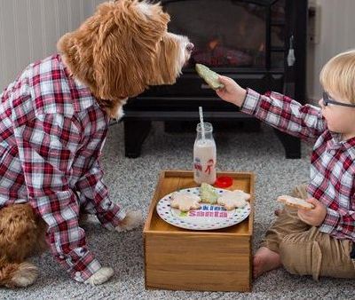 Παιδί και κατοικίδιο: 3 diy κατασκευές για να κυκλοφορούν με ασφάλεια στο σπίτι παιδιά & κατοικίδια