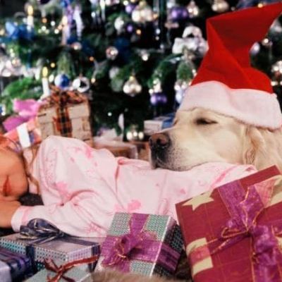 Τέσσερις χρήσιμες συμβουλές, αν σκοπεύετε να αποκτήσετε κατοικίδιο