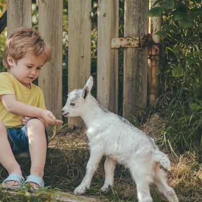 Κατσικίσιο γάλα και παιδί: Σύγχρονη τάση της μόδας ή αληθινή θρεπτική αξία;