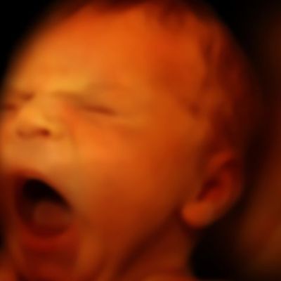 Πότε το έμβρυο αρχίζει να γεύεται;