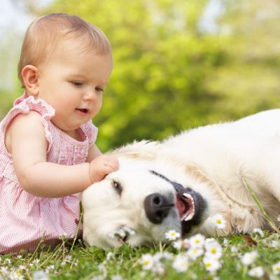 Είναι το τρίχωμα του κατοικιδίου μου επικίνδυνο για την υγεία του μωρού μου;