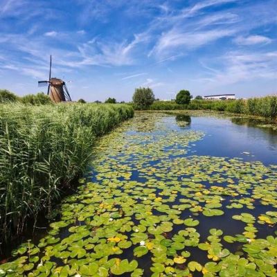 Ολλανδία: Τοπία που μοιάζουν με πίνακες ζωγραφικής (pics)