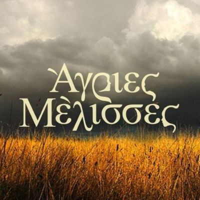 Άγριες Μέλισσες: Φινάλε με αίμα! Οι συγκλονιστικές σκηνές των τελευταίων επεισοδίων