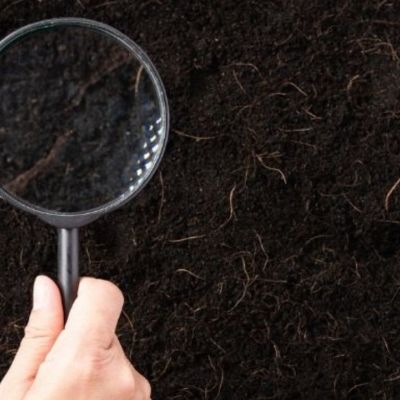 Σήμερα 04/01: Ερεύνησε εξονυχιστικά τα πάντα