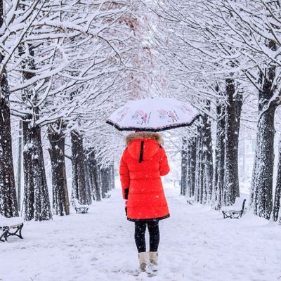 Ημερήσιες Προβλέψεις για όλα τα Ζώδια 08/01