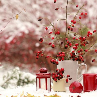 Ημερήσιες Προβλέψεις για όλα τα Ζώδια 14/01