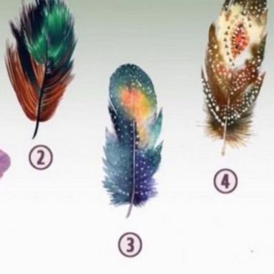 Διάλεξε 1 από τα 5 φτερά και ανακάλυψε την κρυμμένη σου δύναμη