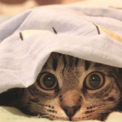 Σήμερα 26/01: Αιφνιδίασε, πριν σε αιφνιδιάσουν