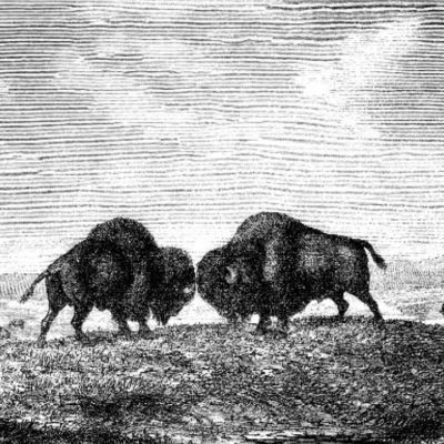 Κρόνος στον Υδροχόο Vs Ουρανού στον Ταύρο: Κανείς δεν μπορεί να είναι σίγουρος για τίποτα!