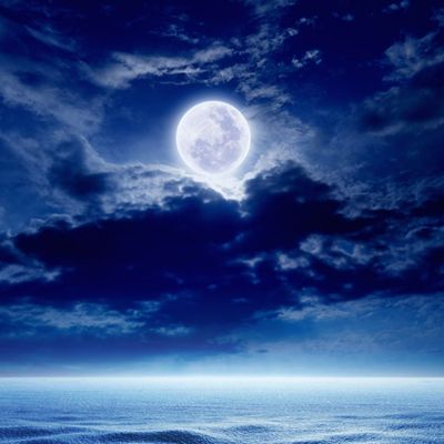 Πανσέληνος στον Λέοντα: Κάνε τη διαφορά!