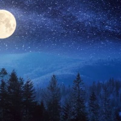 Μια Πανσέληνος σκέτο… τρελοκομείο!