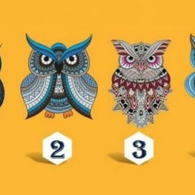 Διάλεξε 1 από τις 4 κουκουβάγιες και ανακάλυψε την πραγματική αλήθεια για σένα