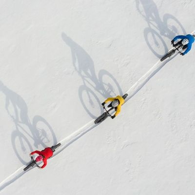 Ημερήσιες Προβλέψεις για όλα τα Ζώδια 10/02