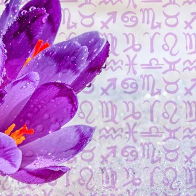 Εβδομαδιαίες Προβλέψεις 14/02 έως 20/02: Οι οιωνοί είναι καλοί