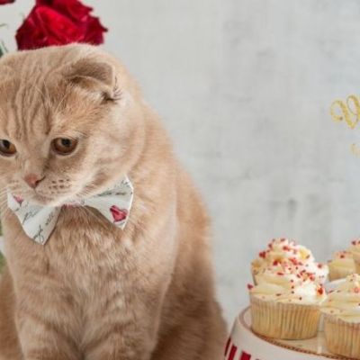 Αυτά τα 3 ζώδια δεν αντέχουν να περάσουν μόνα τους την ημέρα του Αγ. Βαλεντίνου