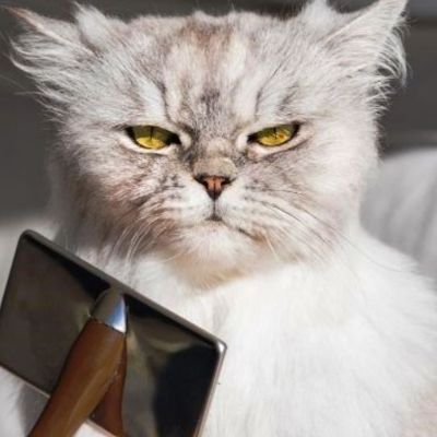 Εσείς ψηφίσατε τα πιο… «ξινά» ζώδια