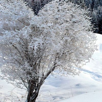 Προβλέψεις για τα αισθηματικά του ζωδίου σου, σήμερα 21/02