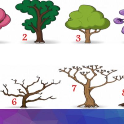 Διάλεξε 1 από τα 8 δέντρα και μάθε τι φανερώνει για σένα