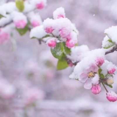 Αυτά τα ζώδια θα έχουν έναν δύσκολο Μάρτιο