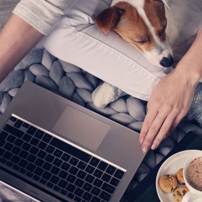 Ημερήσιες Προβλέψεις για όλα τα Ζώδια 27/02