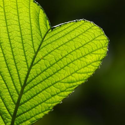 Προβλέψεις για τα αισθηματικά του ζωδίου σου, σήμερα 03/03