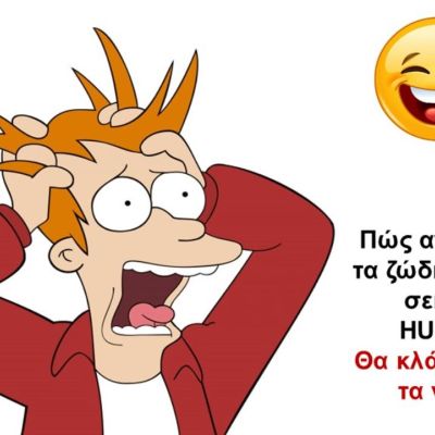 Πώς αντιδρούν τα ζώδια αφού έχει γίνει σεισμός;