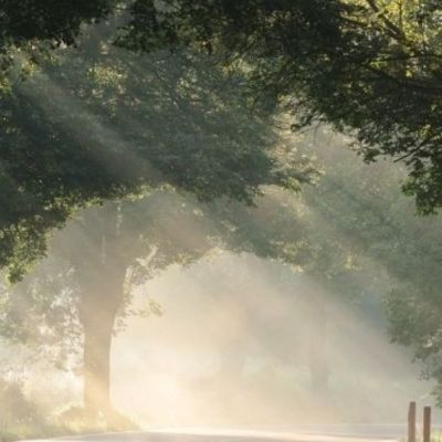 Σήμερα 16/03: Ευκαιρία να ξεκαθαρίσεις το τοπίο