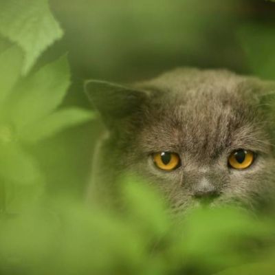 Με αυτούς τους τρόπους το ένστικτό μας προσπαθεί να μας προφυλάξει ή να μας ενθαρρύνει!