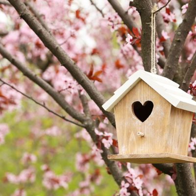 Προβλέψεις για τα αισθηματικά του ζωδίου σου, σήμερα 12/03