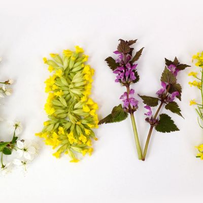 Προβλέψεις για τα αισθηματικά του ζωδίου σου, σήμερα 20/03