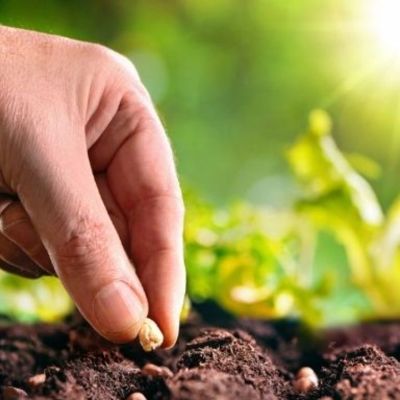 Σήμερα 31/03:  Η προσπάθεια φέρνει καρπούς