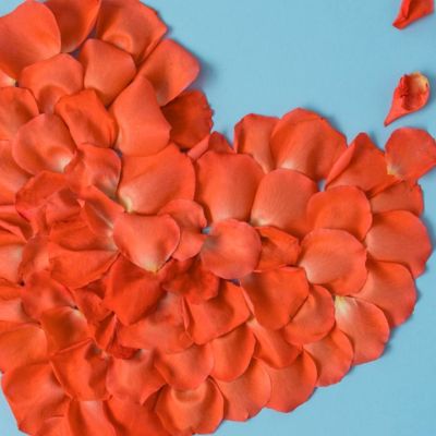 Εβδομαδιαίες Ερωτικές Προβλέψεις 29/03-04/04: Με ενθουσιασμό, τόλμη και φαντασία