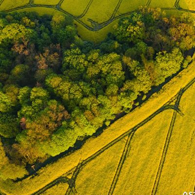 Προβλέψεις για τα αισθηματικά του ζωδίου σου, σήμερα 25/03