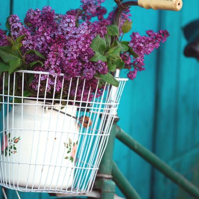 Ημερήσιες Προβλέψεις για όλα τα Ζώδια 01/04