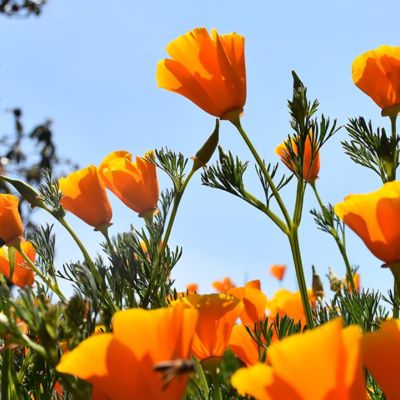 Τι λένε τα άστρα για τον Απρίλιο του 2021;