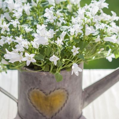 Προβλέψεις για τα αισθηματικά του ζωδίου σου, σήμερα 06/04