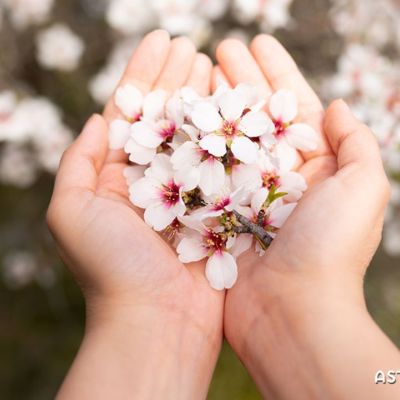 Προβλέψεις για τα αισθηματικά του ζωδίου σου, σήμερα 09/04