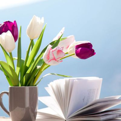 Ημερήσιες Προβλέψεις για όλα τα Ζώδια 13/04