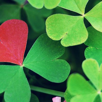 Προβλέψεις για τα αισθηματικά του ζωδίου σου, σήμερα 11/04