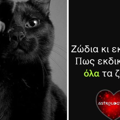 Έτσι εκδικείται το κάθε ζώδιο!