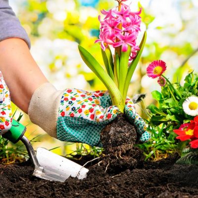 Ημερήσιες Προβλέψεις για όλα τα Ζώδια 16/04