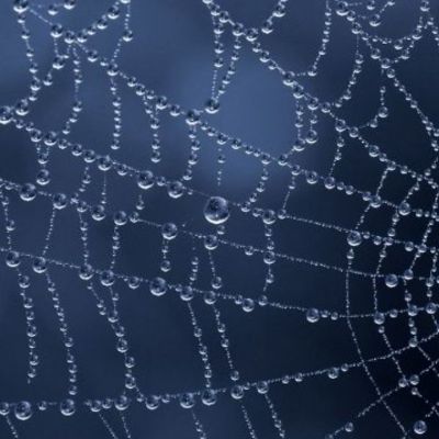 Σήμερα 28/04: Στήσε τον ιστό σου