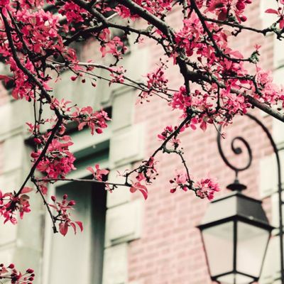 Ημερήσιες Προβλέψεις για όλα τα Ζώδια 23/04