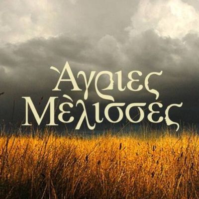 Άγριες Μέλισσες: Δεν πάει ο νους σου ποια θα υποδυθεί την αδερφή του Βόσκαρη