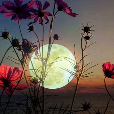 Ροζ Υπερπανσέληνος στον Σκορπιό: Τίποτα δε θα μείνει όρθιο